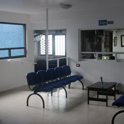Recepción 4